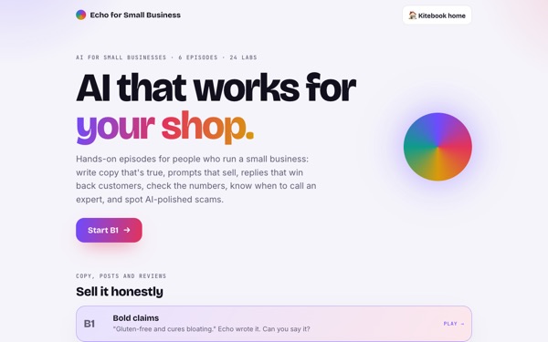 Preview of the first screen of Echo for Small Business